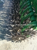 Ротационная борона John Deere 4,5/6/9/12 з США