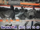 Патрубки DAF CF  XF ATI  euro 2