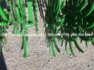 Ротационная борона John Deere 4,6/ 6/ 9/ 12/ з США