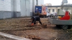 Спил деревьев. Обрезка деревьев. Корчевание пней....