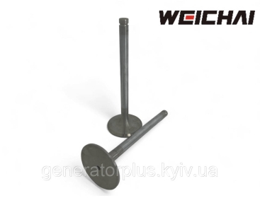 Клапана впускна YUCHAI 1007011-29D