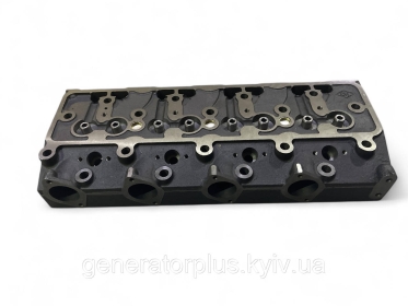 Головка блока циліндрів 495-03101B  Yuchai Ricardo 4102 4105 - 1