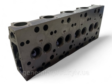 Головка блока циліндрів 495-03101B  Yuchai Ricardo 4102 4105 - 2